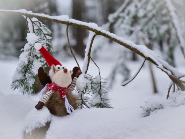 2025年开奖50期最新结果与数据分析