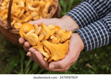 2025年六开奖历史记录完整回顾与查询